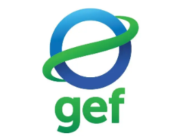 Green and Resilient Cities