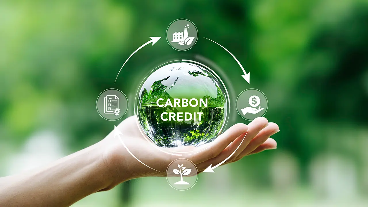 Singapore Releases Guidance for Use of Carbon Credits to Meet Decarbonization Goals