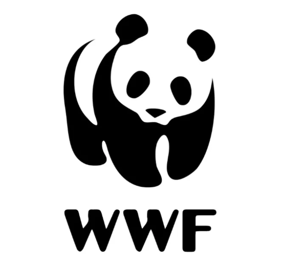 Article: WWF-Philippines’ FInRE-BXU Program a Good Example of Local Government Participation in Energy Planning