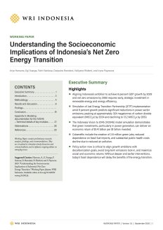 Understanding the Socioeconomic Implications of Indonesia’s Net Zero Energy Transition