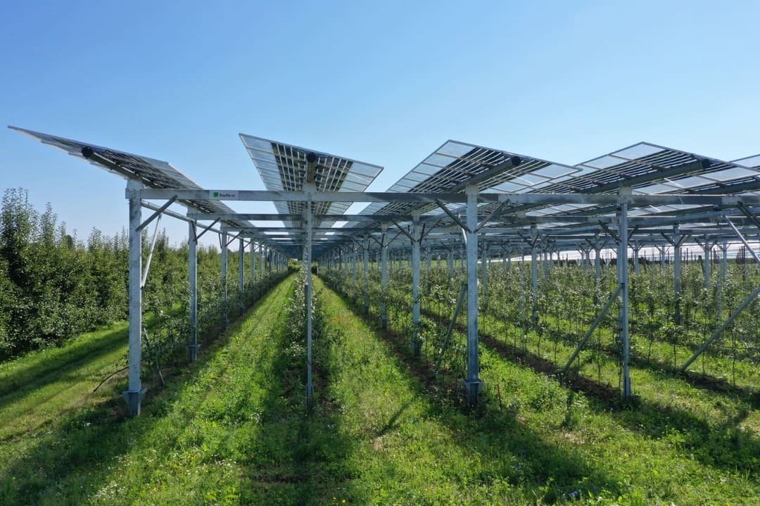 Agrivoltaics in Thailand: Merging Solar Power and Agriculture for a Sustainable Future