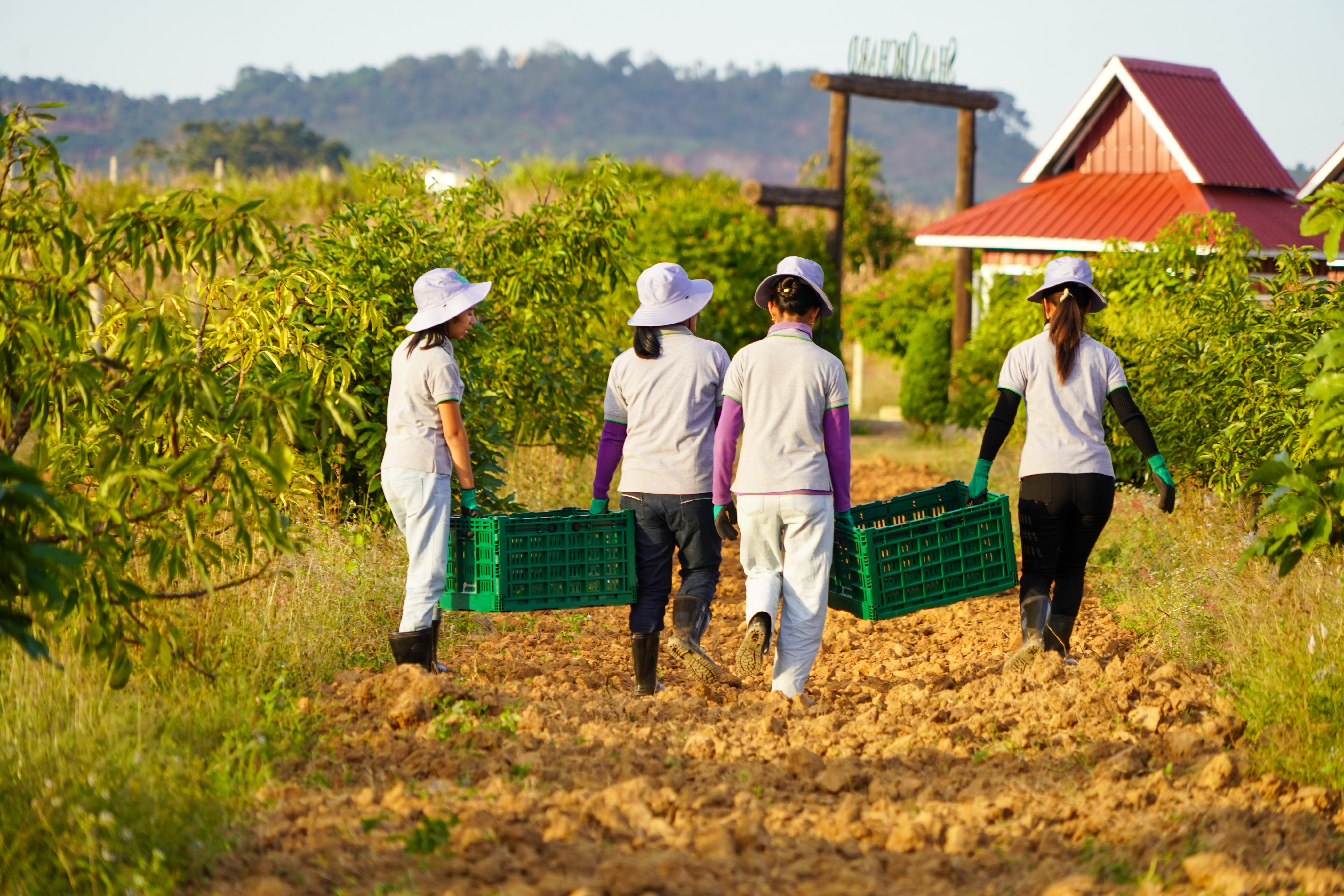 Redefining Myanmar’s Energy Future