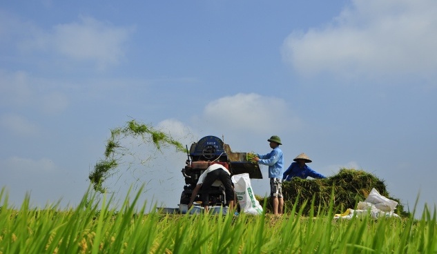 Climate Protection through Sustainable Bioenergy Markets in Vietnam (BEM)